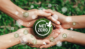 Net-zero food production